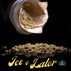 L' Ice O lator 0.3% - 100g