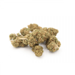 Lemon-Skunk-Glasshouse-Fleur-Cbd-Hemp-Distrib-Grossite-Cbd
