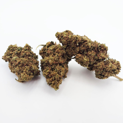 Cannatonic - Greenhouse