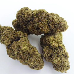 AK 47 - Glasshouse Premium...
