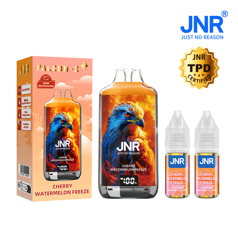 Kit Cherry Watermelon Freeze 28000 puffs - FALCON-X JNR