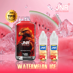Kit Watermelon Ice 28000 puffs - FALCON-X JNR