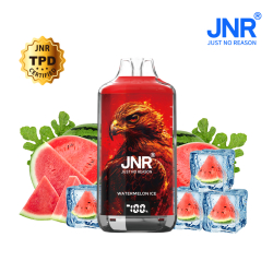 Kit Watermelon Ice 28000 puffs - FALCON-X JNR