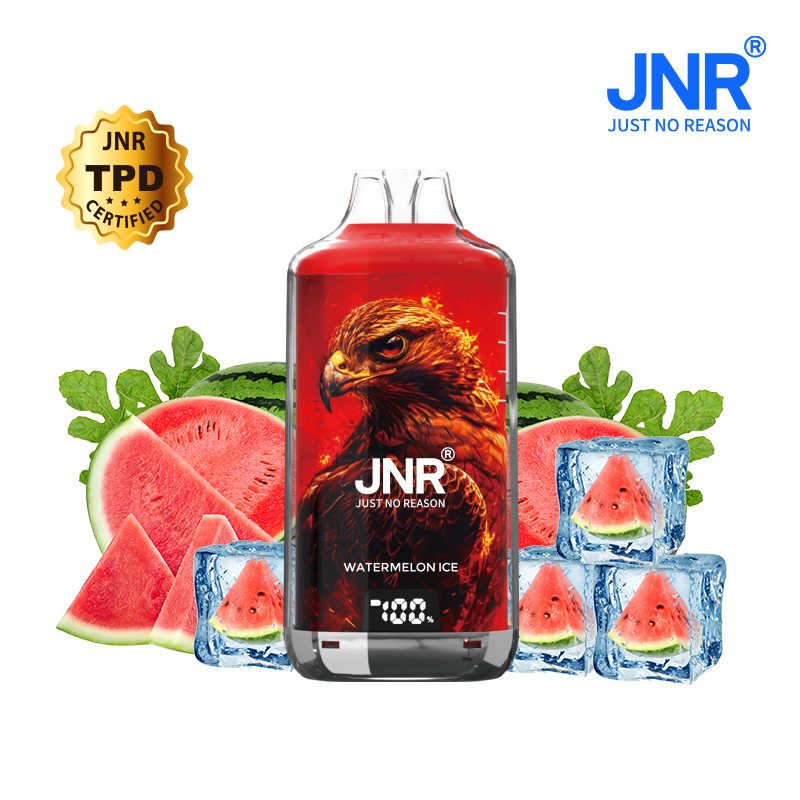 Kit Watermelon Ice 28000 puffs - FALCON-X JNR