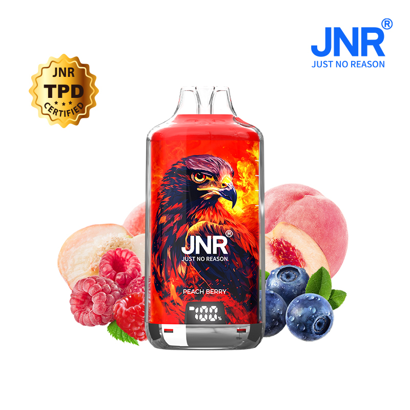Kit Peach Berry 28000 puffs - FALCON-X JNR