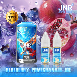 Kit Blueberry Pomegranate Ice 28000 puffs - FALCON-X JNR