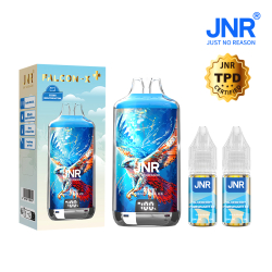 Kit Blueberry Pomegranate Ice 28000 puffs - FALCON-X JNR