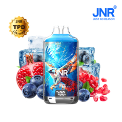 Kit Blueberry Pomegranate Ice 28000 puffs - FALCON-X JNR