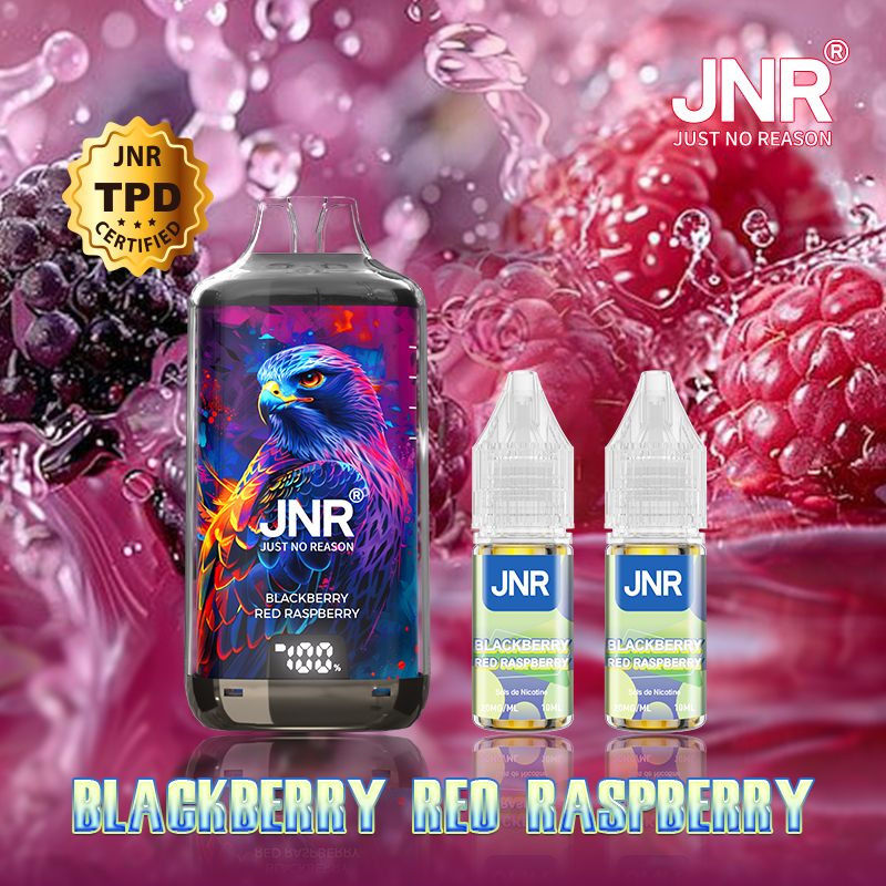 Kit Blackberry Red Raspberry 28000 puffs - FALCON-X JNR
