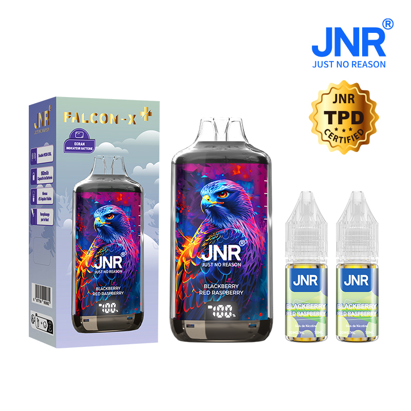 Kit Blackberry Red Raspberry 28000 puffs - FALCON-X JNR