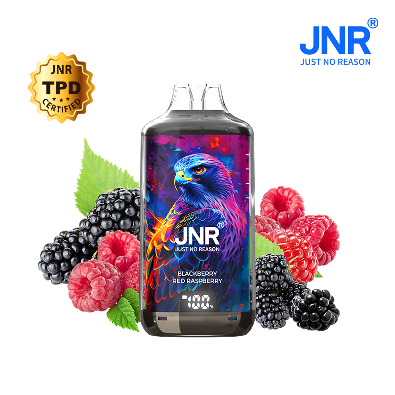 Kit Blackberry Red Raspberry 28000 puffs - FALCON-X JNR