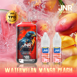 Kit Watermelon Mango Peach 28000 puffs - FALCON-X JNR