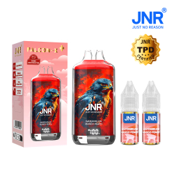 Kit Watermelon Mango Peach 28000 puffs - FALCON-X JNR