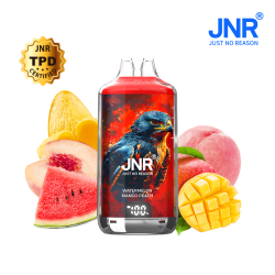 Kit Watermelon Mango Peach 28000 puffs - FALCON-X JNR