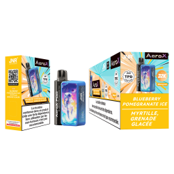 Kit Blueberry Pomegranate Ice 32000 puffs - AeroX JNR