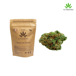 Amnésia Haze Fleur - LA CHÈNEVIÈRE CBD