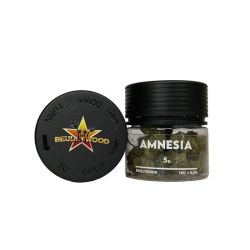 Amnesia Fleur - Beullywood