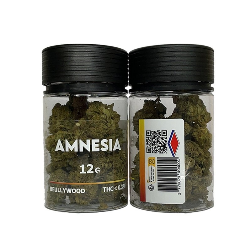 Amnesia Fleur - Beullywood