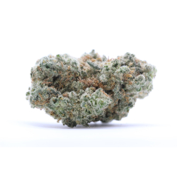 White widow CBN 100G