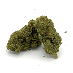 Plutonium Indoor 100g