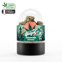 Fleur Amnésia - Sunset CBD