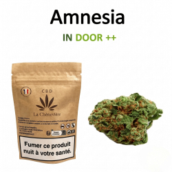 Amnésia Haze Fleur - LA...
