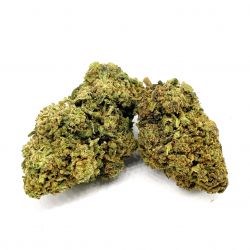 Tutti Frutti - Indoor