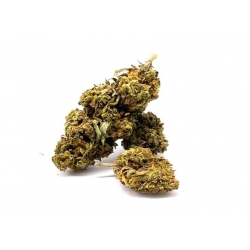 Tutti Frutti - Greenhouse -...