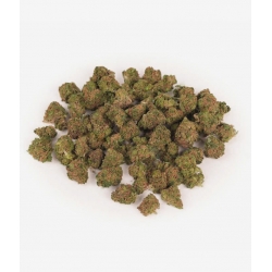Cannatonic Greenhouse Small Bud